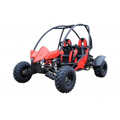 Mud buggy 2024 for sale